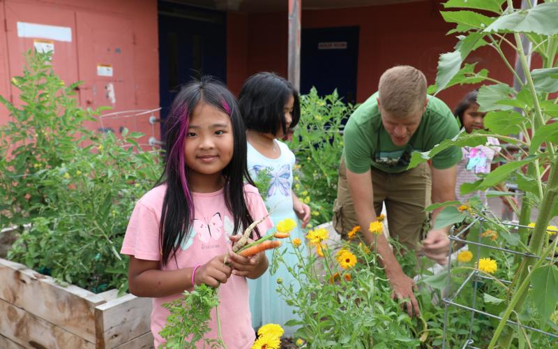 photo of elementary school child standing in school garden and holding carrots while two other students and an adult staff member stand in the background